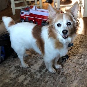 Meet your Posher, Regina